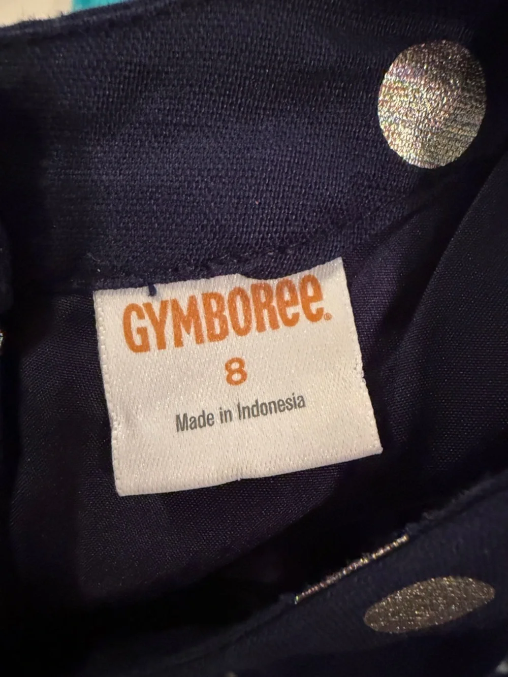 Gymboree navy blue